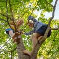 Ensuring Tree Safety: Effective Strategies to Prevent Children from Climbing Trees