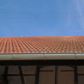 Protect Your Home: Tree Safety & Roofing Services in Northern VA