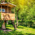 Ensuring Tree Safety: Is a Treehouse in Your Backyard Safe?