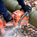 Tree Safety and Professional Tree Removal Solutions in West Virginia