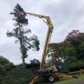 Understanding Tree Safety When Operating Heavy Equipment