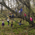 Understanding Tree Safety: Is Climbing Trees Safe?