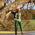 Tree Safety Matters: Professional Tree Removal in Portland, OR for Safer Properties