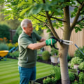 Essential Safety Precautions for Planting New Trees