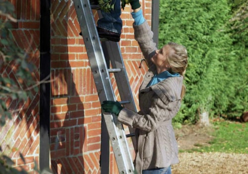 Essential Safety Tips for Using a Ladder While Trimming Trees