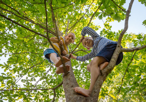Ensuring Tree Safety: Effective Strategies to Prevent Children from Climbing Trees
