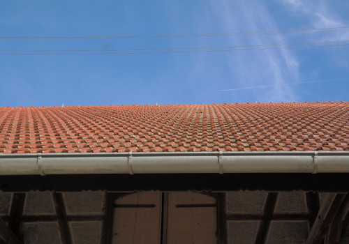 Protect Your Home: Tree Safety & Roofing Services in Northern VA
