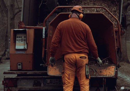 Understanding Tree Safety: Common Causes of Tree Accidents