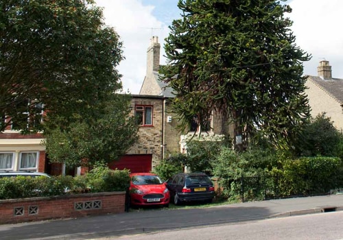 Ensuring Tree Safety: What to Do When Trees Grow Too Close to Your Home