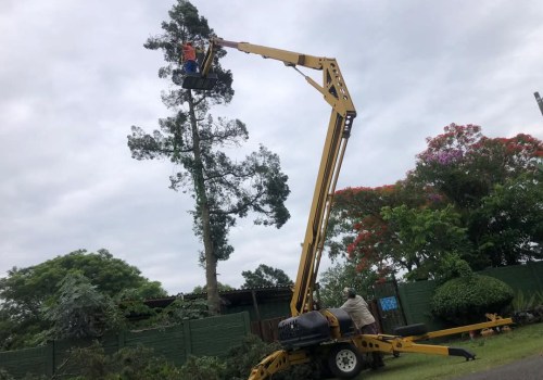Understanding Tree Safety When Operating Heavy Equipment