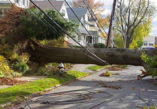 What to Do When a Tree Falls on Your Property or Car: Essential Steps for Safety and Recovery
