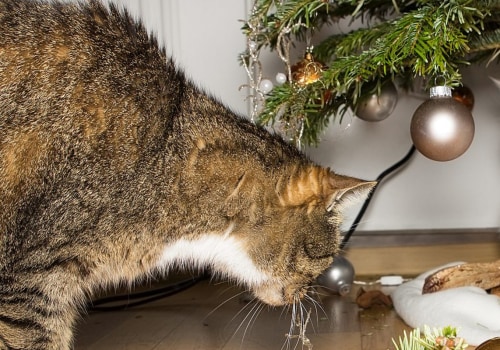 Ensuring Tree Safety: Protecting Your Pets from Potential Hazards